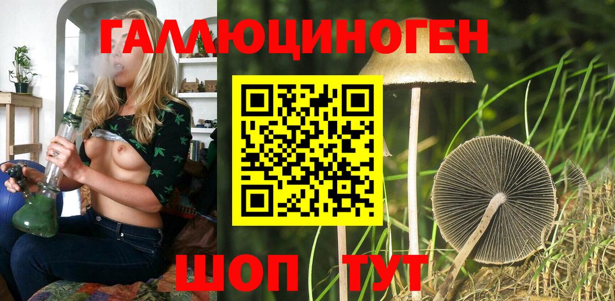 Псилоцибиновые грибы Psilocybine cubensis  Вход с VPN  Малгобек 